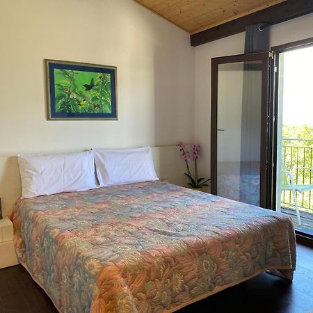 Viva Bacco Bed and Breakfast Gambarogno Eksteriør billede