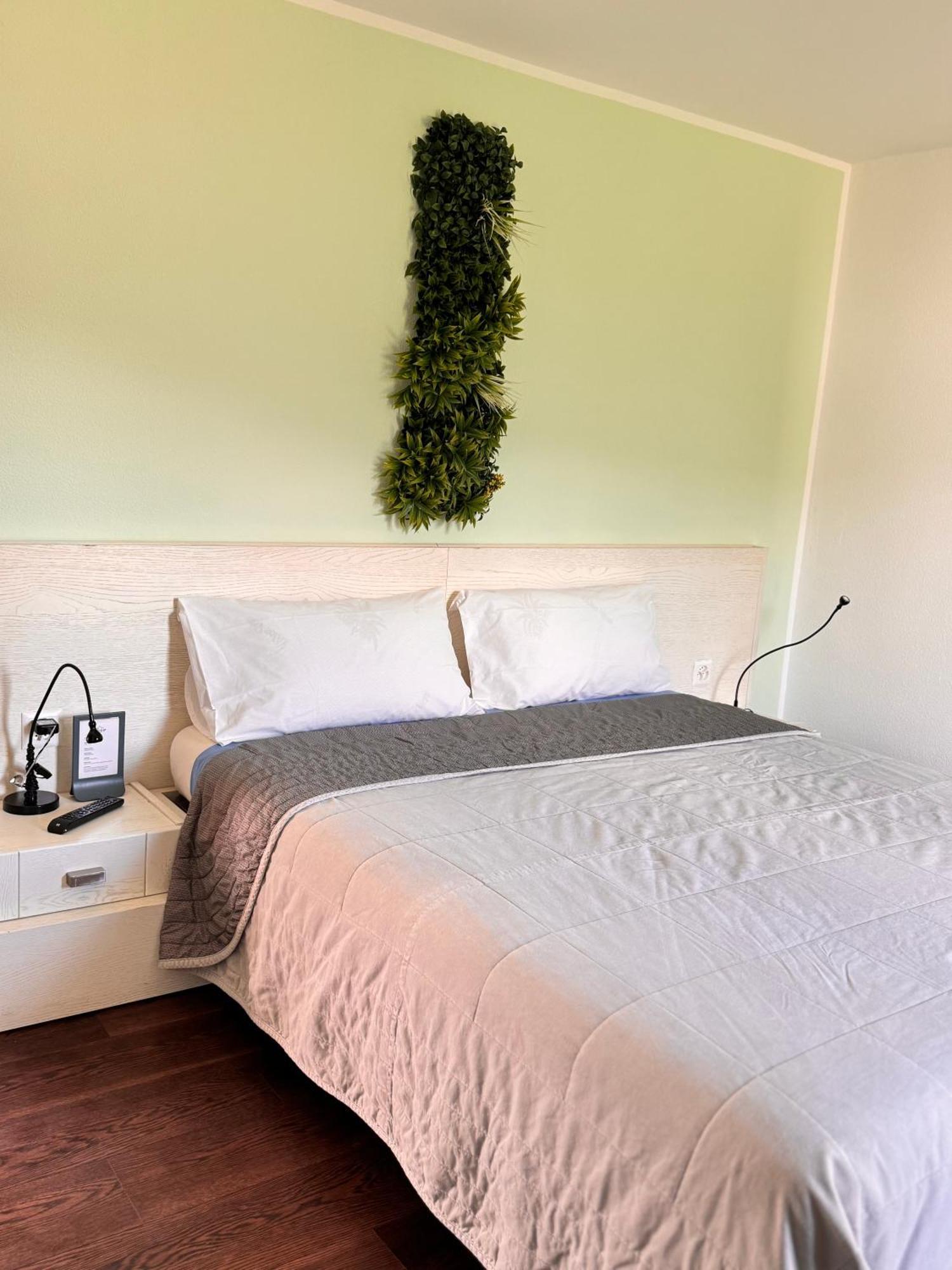 Viva Bacco Bed and Breakfast Gambarogno Eksteriør billede