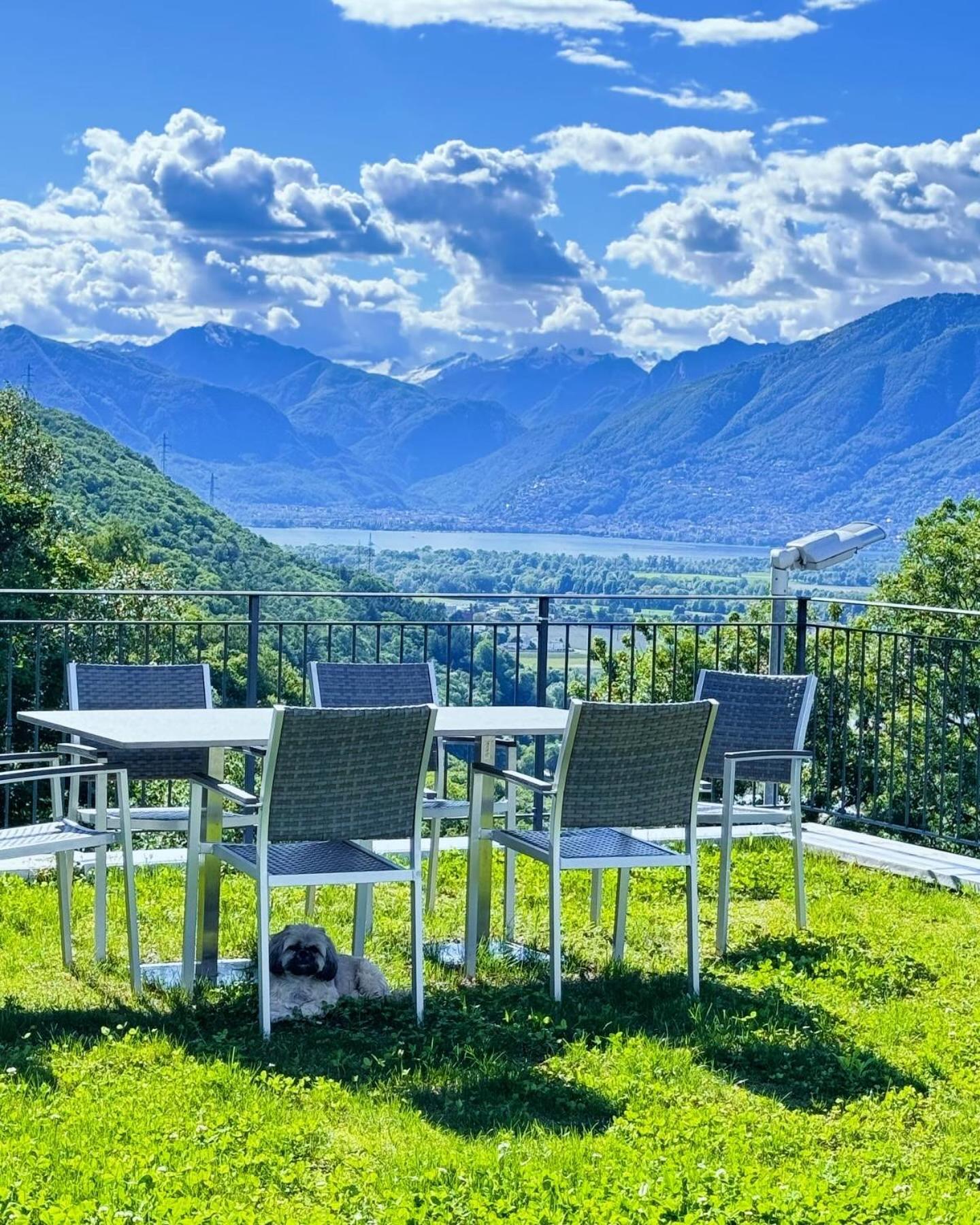 Viva Bacco Bed and Breakfast Gambarogno Eksteriør billede