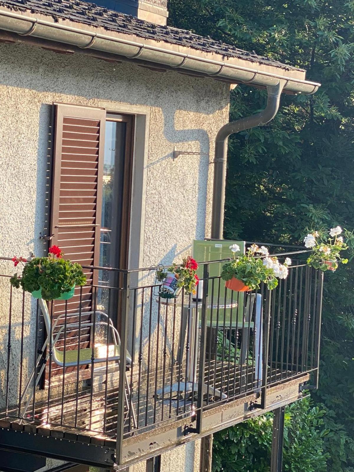 Viva Bacco Bed and Breakfast Gambarogno Eksteriør billede
