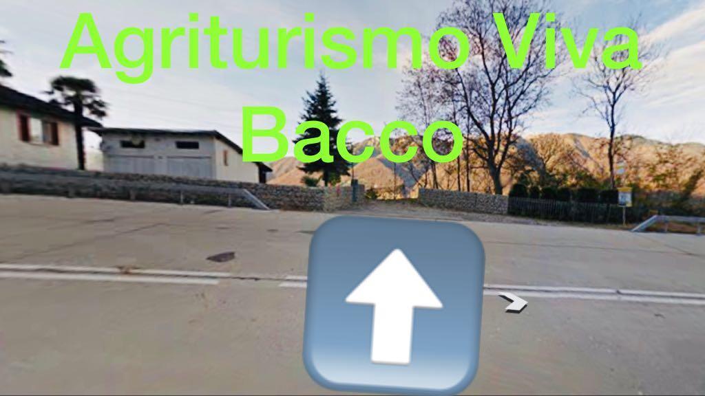 Viva Bacco Bed and Breakfast Gambarogno Eksteriør billede
